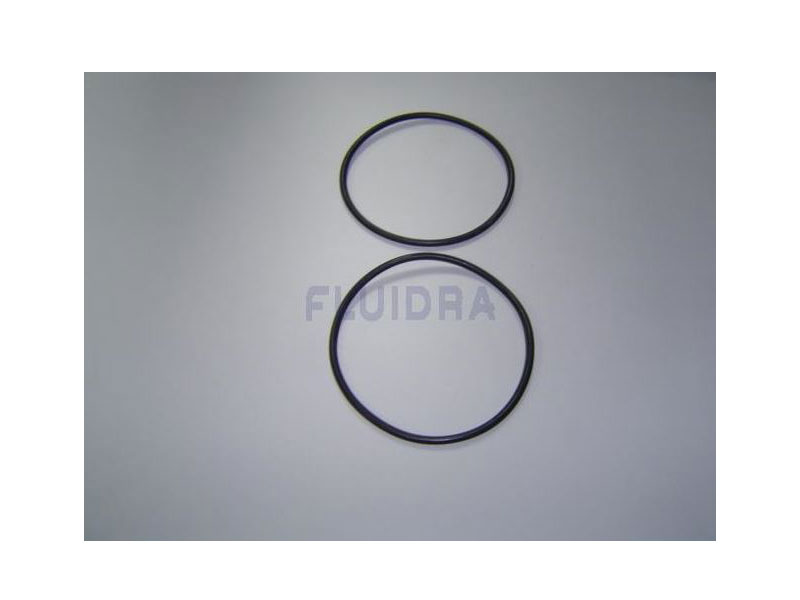 ASTRAL POOL Suction/Return Gaskets NO.7 (4405010375)